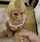 blonde cumshot teen