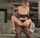 bbc interracial ass