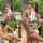 couple teen brunette