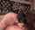 bbw chunky chubby