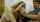 full video alli rae alli