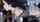 arabelle raphael fishnet blowjob