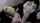 goth blowjob threesome