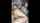 camgirl amateur couple