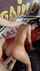 camgirl amateur big cock