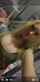 camgirl camshow cute