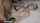 new sensations bbc missionary