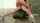 anal rough pounding chair fuck