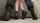 standing fuck doggy style straight