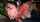 japanese doggystyle pov
