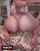 camgirl model booty