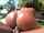 bigass booty brazilian