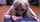 blonde oral amateur