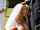 bride bbc blowjob