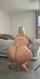 milf pawg huge ass