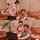 japanese jav hot