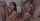 foursome couples blowjobs