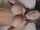 amateur pov missionary