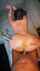 doggy amateur brunette