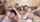 blonde brunette blowjob