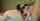 stoya blowjob doggystyle
