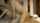 camgirl amateur missonary