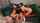 threesome brunette fake tits