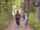 japanese code jav