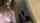 bbc interracial blowjob