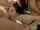 amateur brunette blowjob