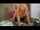 blonde milf doggy