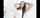 brune babe gangbang
