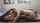 bbc interracial blowjob
