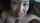 asian cum slut asian whore asian anal whore
