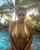 busty bikini big boobs