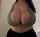 big tits brunette no face