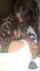 brunette teen doggystyle