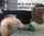 moaning perfect body rough sex