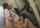 jav lesbian office