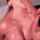 camgirl blowjob thicc