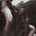 babe blowjob brunette