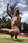 camgirl amateur casual