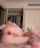anal blowjob sex