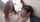 japanese tall woman femdom