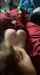 blonde teen blowjob