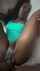 pov ebony big dick