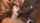 bbc gangbang curly