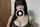 amateur asian japanese
