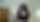 dark hair big tits masturbation