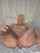 camgirl anal dildo